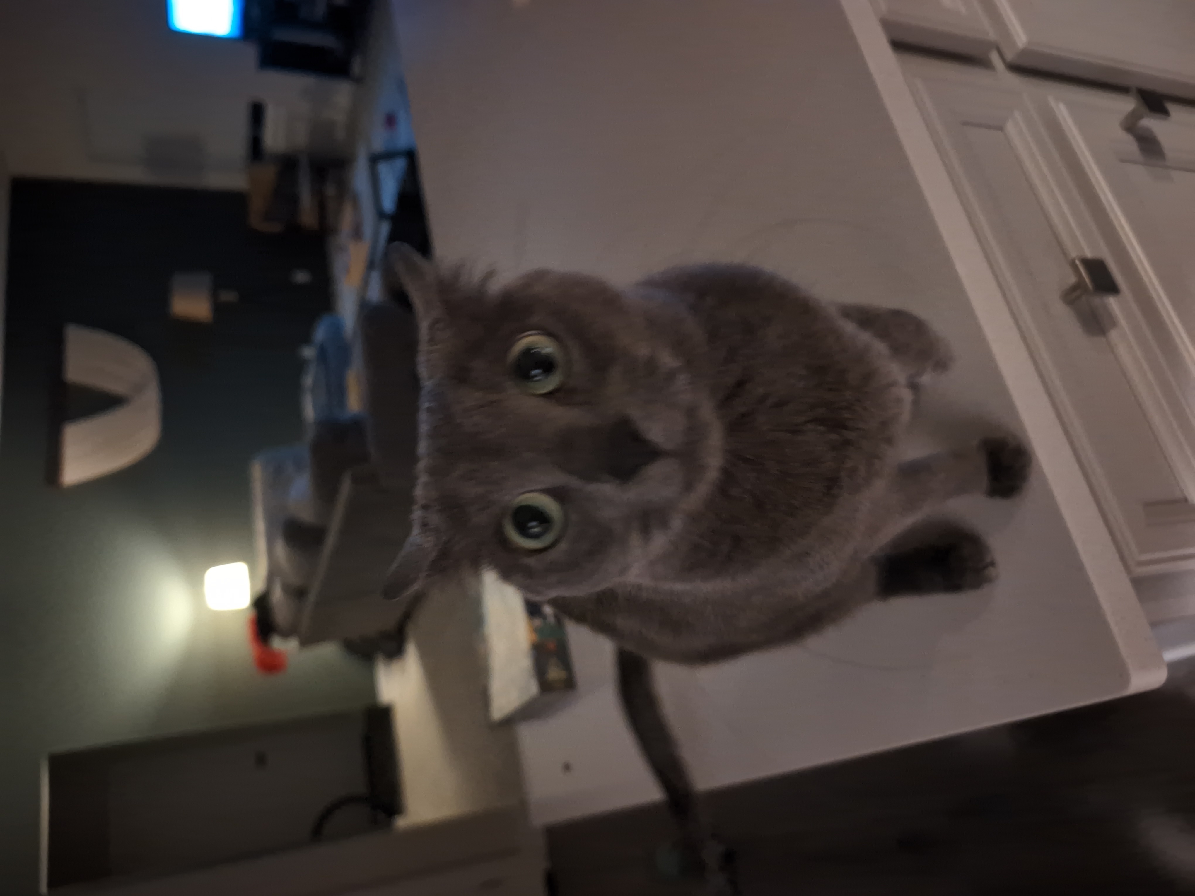 Flynn says hi