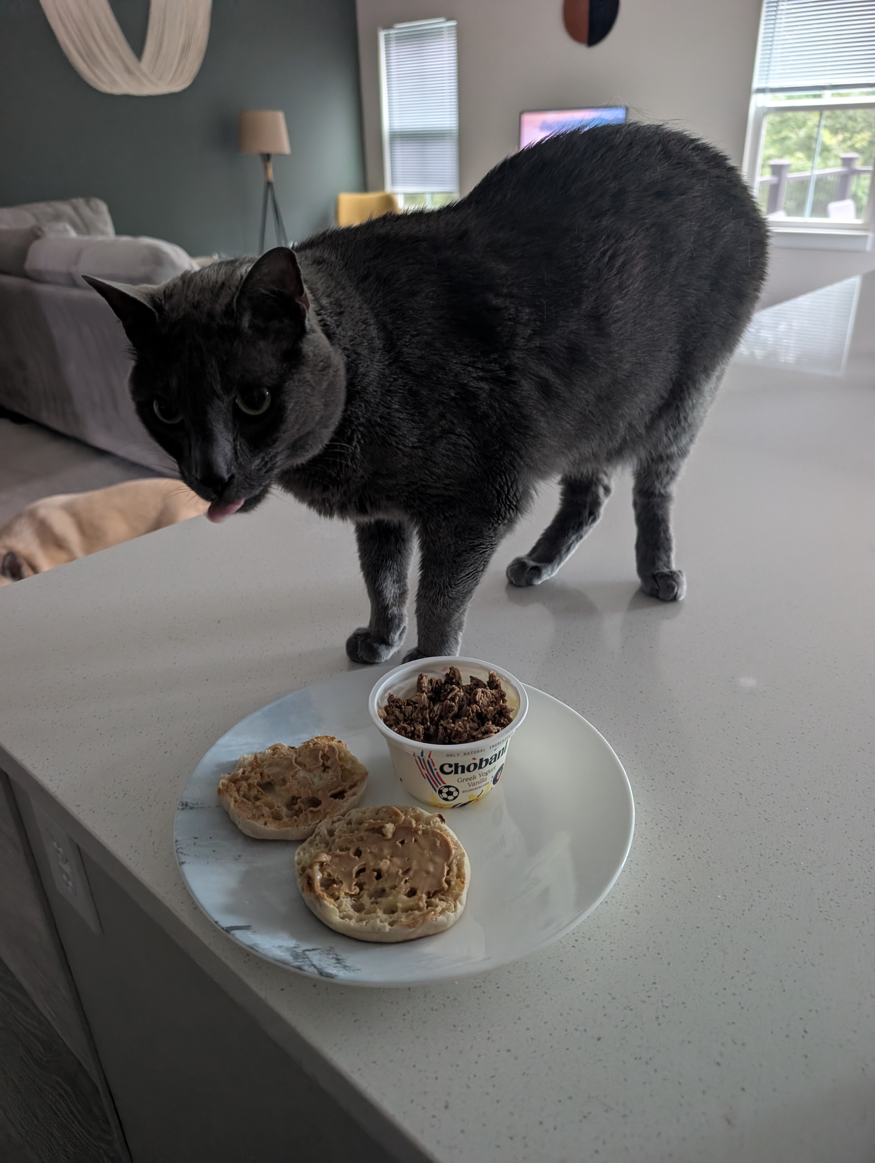 Flynn with Food